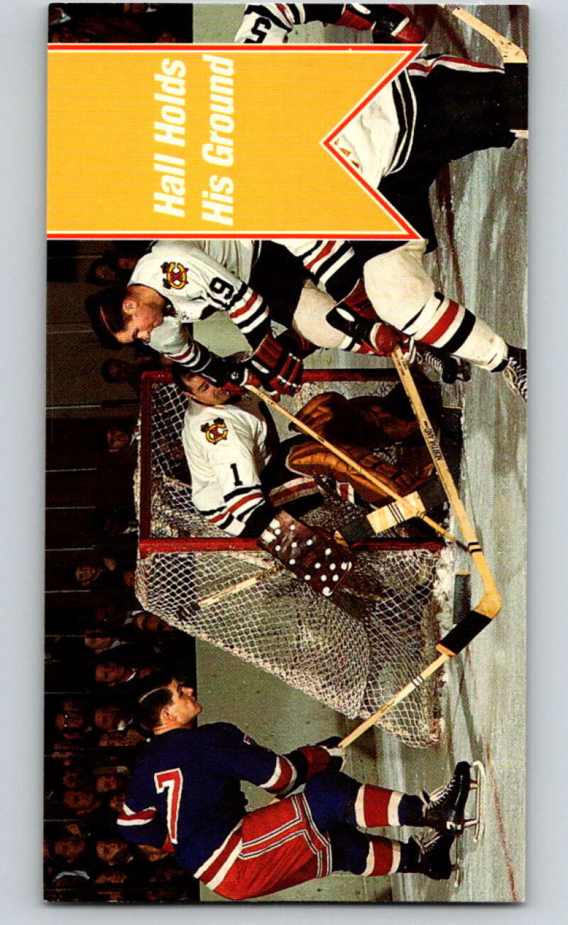 1994-95 Parkhurst Tall Boys #166 Hall Holds His Ground V81246 Image 1