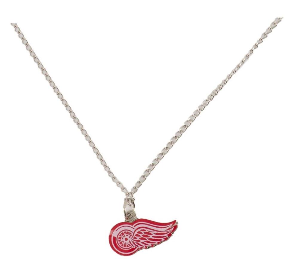 Detroit Red Wings Silver Metal Pendant Necklace with Team Logo - 18" Chain Image 1