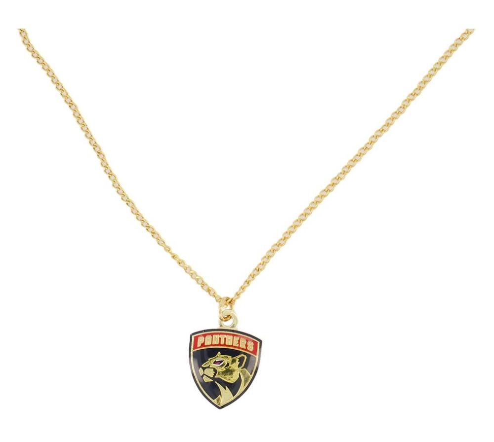 Florida Panthers Gold Metal Pendant Necklace with Team Logo - 18" Chain Image 1
