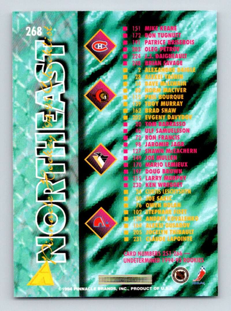 1994-95 Pinnacle #268 Checklist Image 2