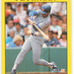 1991 Fleer Baseball #296 Geno Petralli  Texas Rangers  Image 1