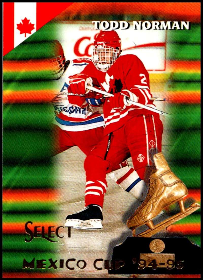 1994-95 Select Hockey #168 Todd Norman RC Rookie V90022 Image 1