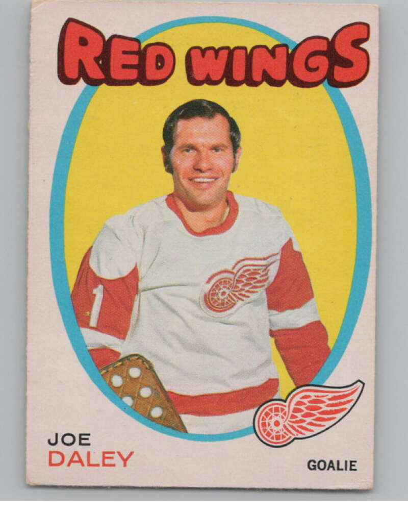 1971-72 O-Pee-Chee #137 Joe Daley  Detroit Red Wings  V99151 Image 1