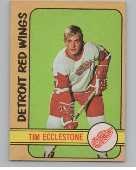 1972-73 O-Pee-Chee #55 Tim Ecclestone  Detroit Red Wings  V99385 Image 1