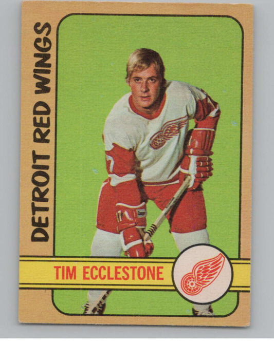 1972-73 O-Pee-Chee #55 Tim Ecclestone  Detroit Red Wings  V99386 Image 1
