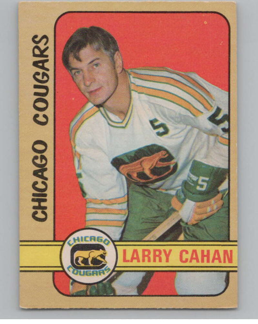 1972-73 O-Pee-Chee #307 Larry Cahan  Chicago Cougars  V99606 Image 1