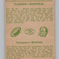 1968 O-Pee-Chee CFL #1 Roger Murphy  Montreal Alouettes  101028 Image 2