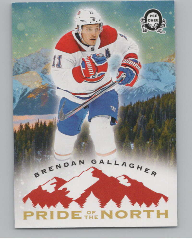 2018-19  Coast Coast Canadian Tire Pride of the North Brendan Gallagher  V102426 Image 1