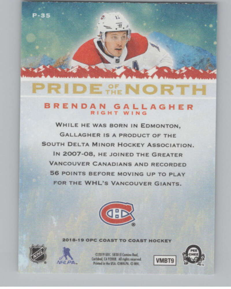 2018-19  Coast Coast Canadian Tire Pride of the North Brendan Gallagher  V102426 Image 2