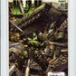 Marvel World War Hulk #3 #13 Magazine Comic Book Mint - B21-16 Image 1