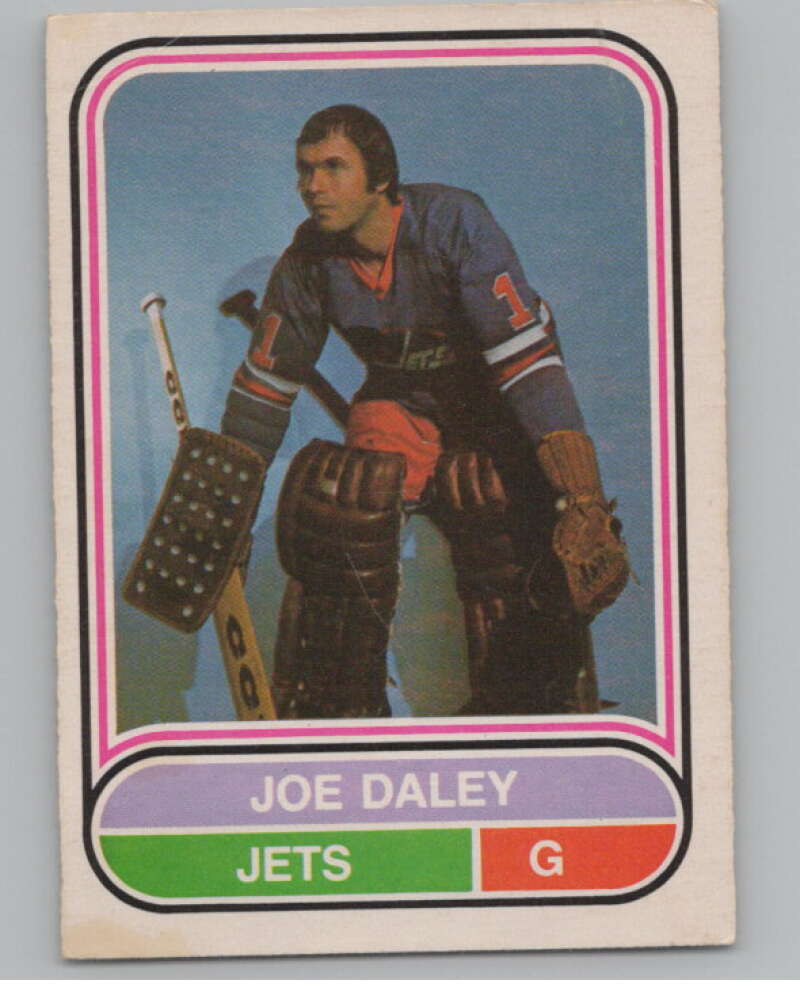 1975-76 O-Pee-Chee WHA #101 Joe Daley  Winnipeg Jets  V103252 Image 1
