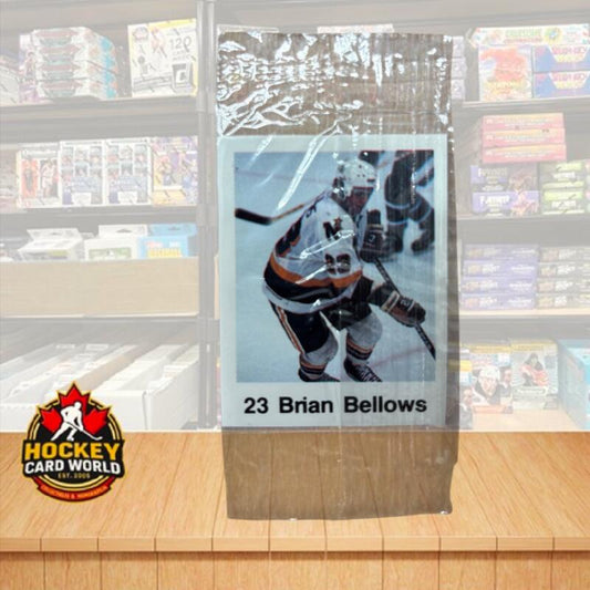 1988-89 Frito-Lay Stickers Sealed Wrapper Hockey Sticker Brian Bellows 23 Image 1