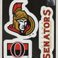 Team ProMark NHL Ottawa Senators Standard Team Hockey Decals