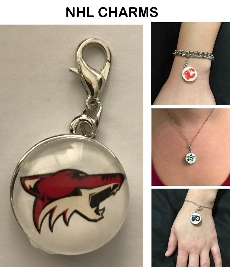 Arizona Coyotes NHL Clip Charm for Bracelets, Necklaces, etc. Image 1