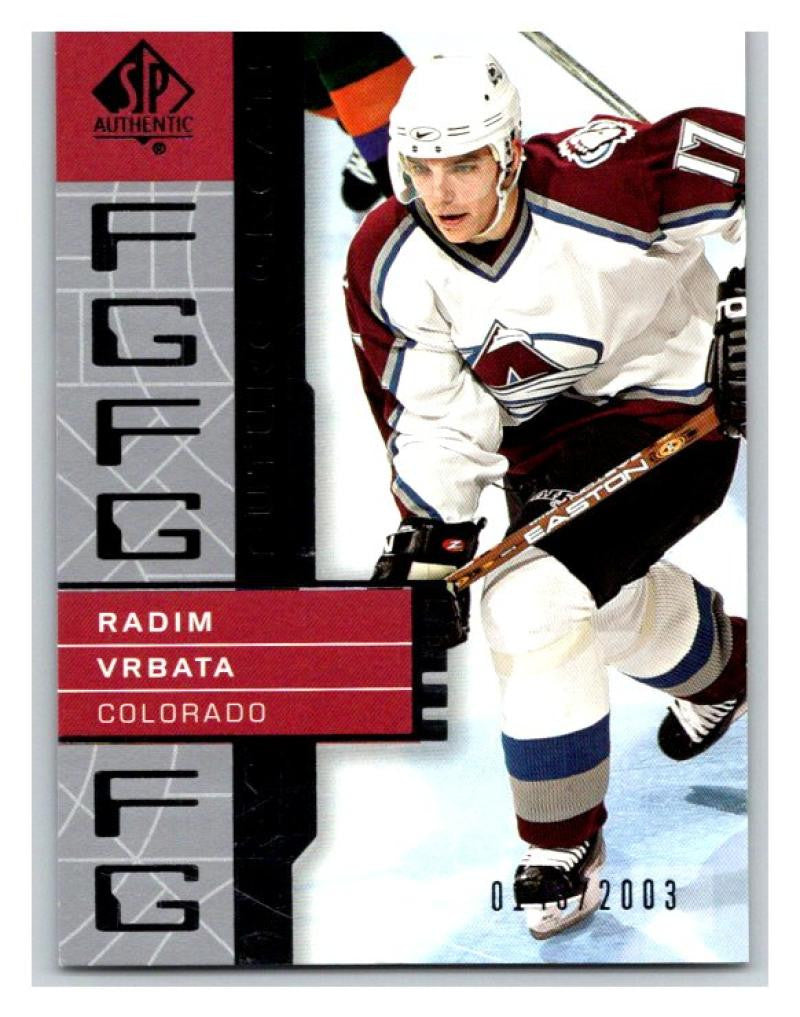2002-03 SP Authentic #113 Radim Vrbata MINT Hockey NHL 143/2003 UD 02896