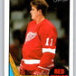 1987-88 O-Pee-Chee #164 Shawn Burr RC Rookie Red Wings Mint