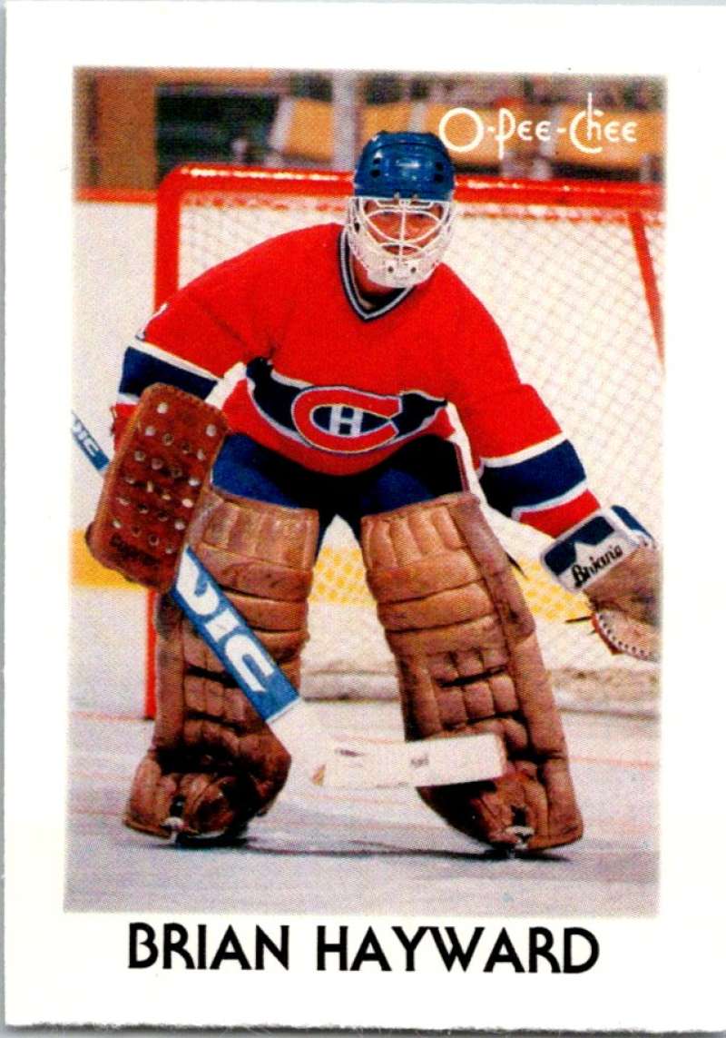 1987-88 O-Pee-Chee Minis #15 Brian Hayward Canadiens NHL 05404