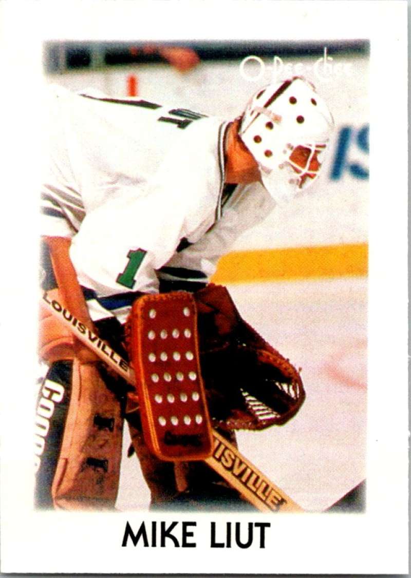 1987-88 O-Pee-Chee Minis #24 Mike Liut Whalers NHL 05413