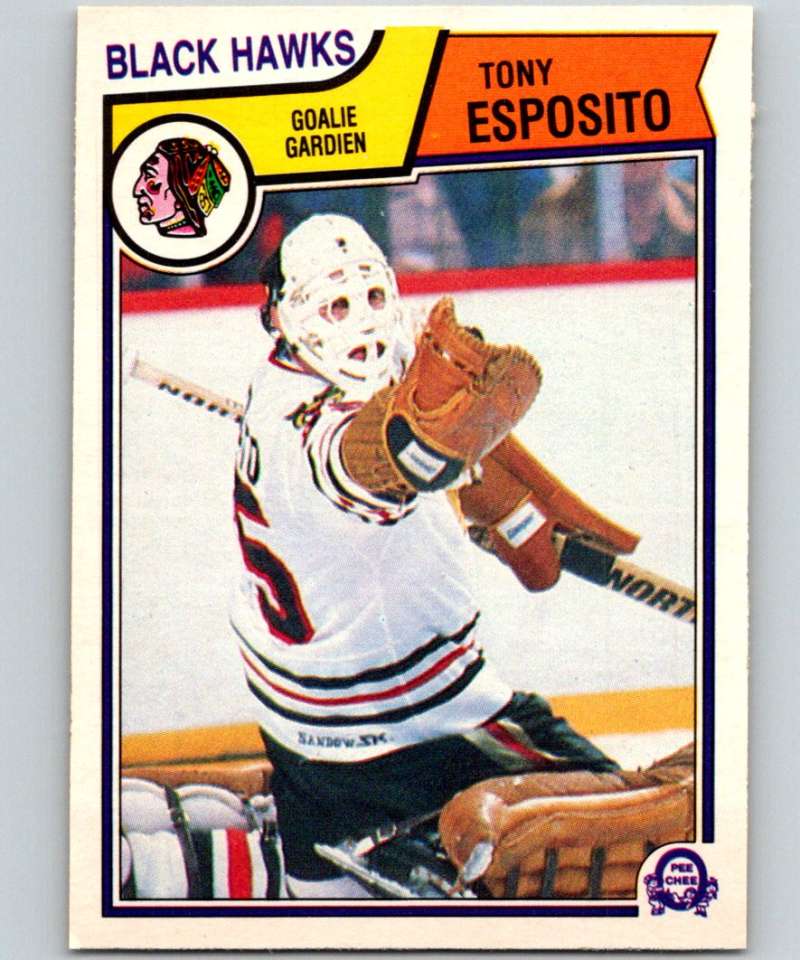 1983-84 O-Pee-Chee #99 Tony Esposito Blackhawks NHL Hockey