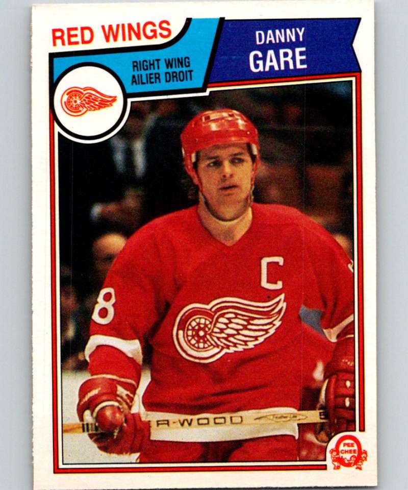 1983-84 O-Pee-Chee #123 Danny Gare Red Wings NHL Hockey