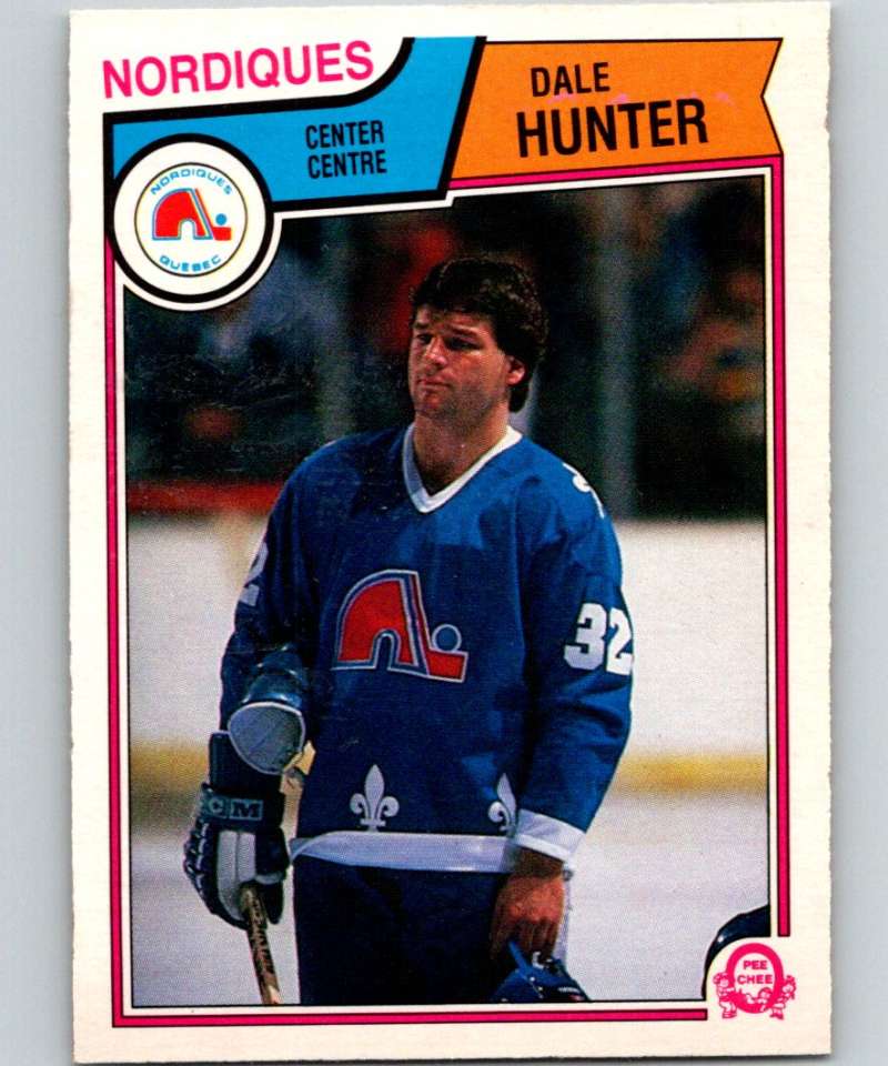 1983-84 O-Pee-Chee #293 Dale Hunter Nordiques NHL Hockey