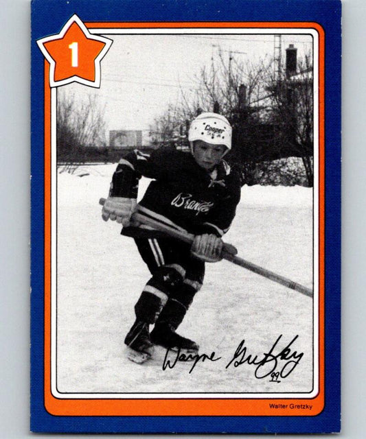 1982-83 Neilson's #1 Wayne Gretzky Discard Broken Stick NHL Hockey 03064