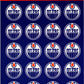 Edmonton Oilers Vinyl Sticker Sheet 5"x7" Decals - 1" Round x20