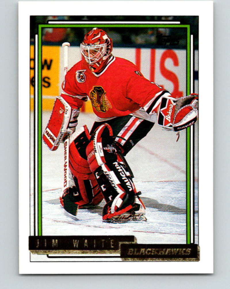 1992-93 Topps Gold #100G Jim Waite Mint Chicago Blackhawks