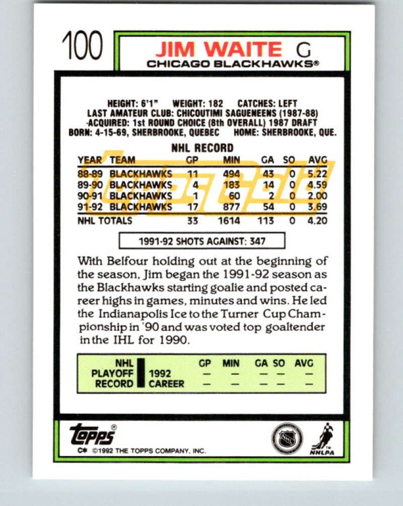 1992-93 Topps Gold #100G Jim Waite Mint Chicago Blackhawks