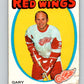 1971-72 O-Pee-Chee #119 Gary Bergman  Detroit Red Wings  8814