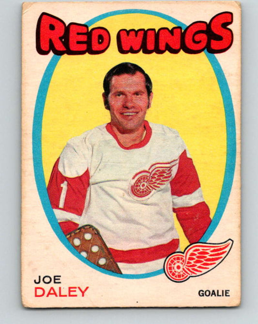 1971-72 O-Pee-Chee #137 Joe Daley  Detroit Red Wings  8832 Image 1