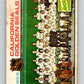 1975-76 O-Pee-Chee #82 California Golden Seals CL  California Golden Seals  9305