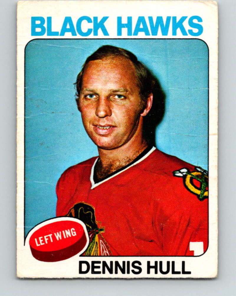 1975-76 O-Pee-Chee #254 Dennis Hull  Chicago Blackhawks  9481