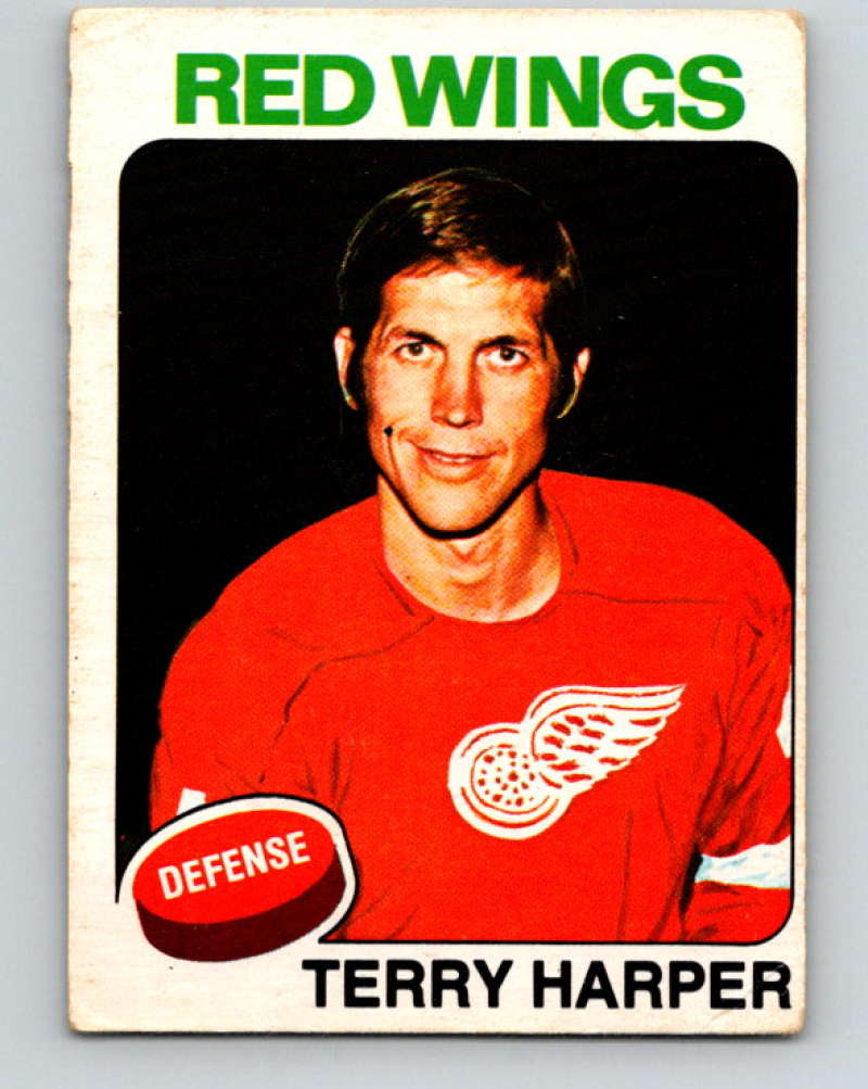 1975-76 O-Pee-Chee #255 Terry Harper  Detroit Red Wings  9482