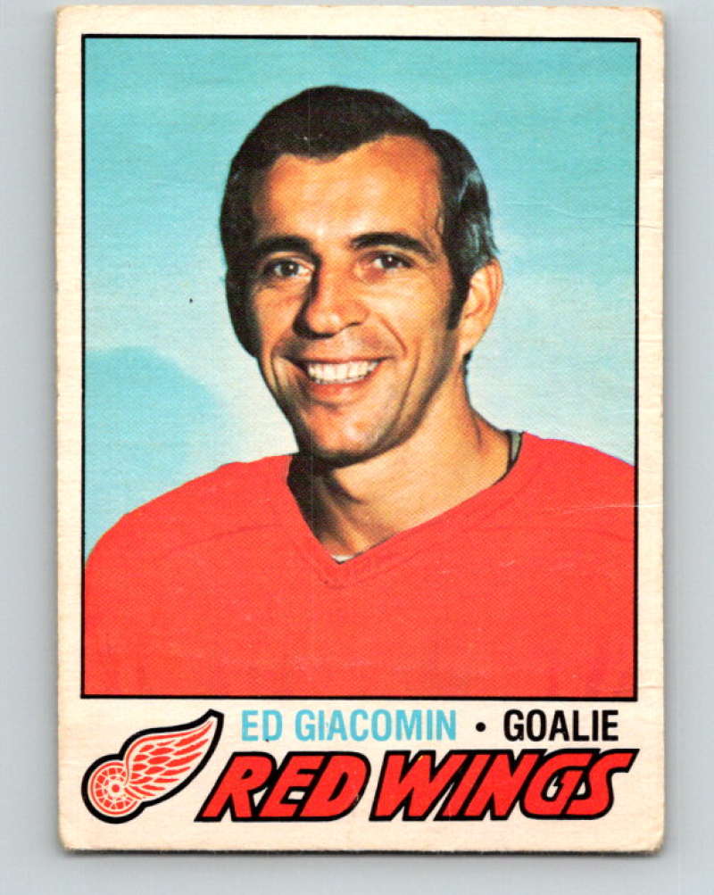 1977-78 O-Pee-Chee #70 Ed Giacomin NHL  Red Wings 9696 Image 1