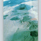 1991 Topps Desert Storm Stickers #10 48th Infantry Motto Dragoon MINT  Image 2