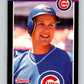 1989 Donruss #255 Mark Grace Mint Chicago Cubs