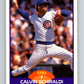 1989 Score #321 Calvin Schiraldi Mint Chicago Cubs