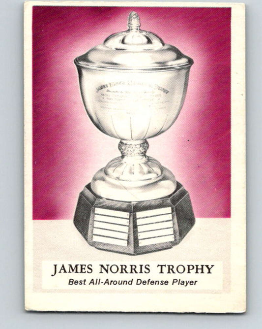 1969-70 O-Pee-Chee #228 James Norris Trophy   V1991