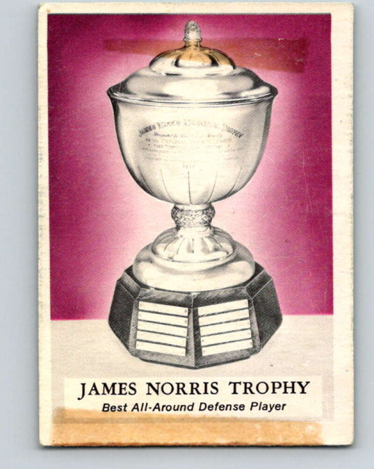 1969-70 O-Pee-Chee #228 James Norris Trophy   V1993