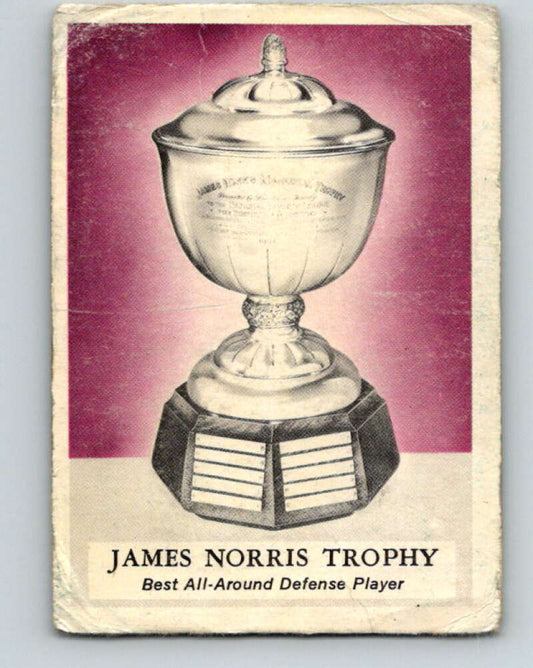 1969-70 O-Pee-Chee #228 James Norris Trophy   V1994