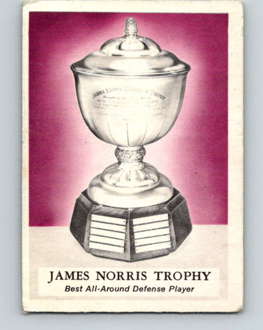 1969-70 O-Pee-Chee #228 James Norris Trophy   V1995