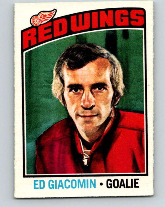 1976-77 OPC #160 Ed Giacomin  Detroit Red Wings  V2131