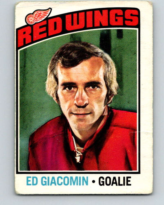 1976-77 OPC #160 Ed Giacomin  Detroit Red Wings  V2132