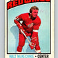 1976-77 OPC #196 Walt McKechnie  Detroit Red Wings  V2148