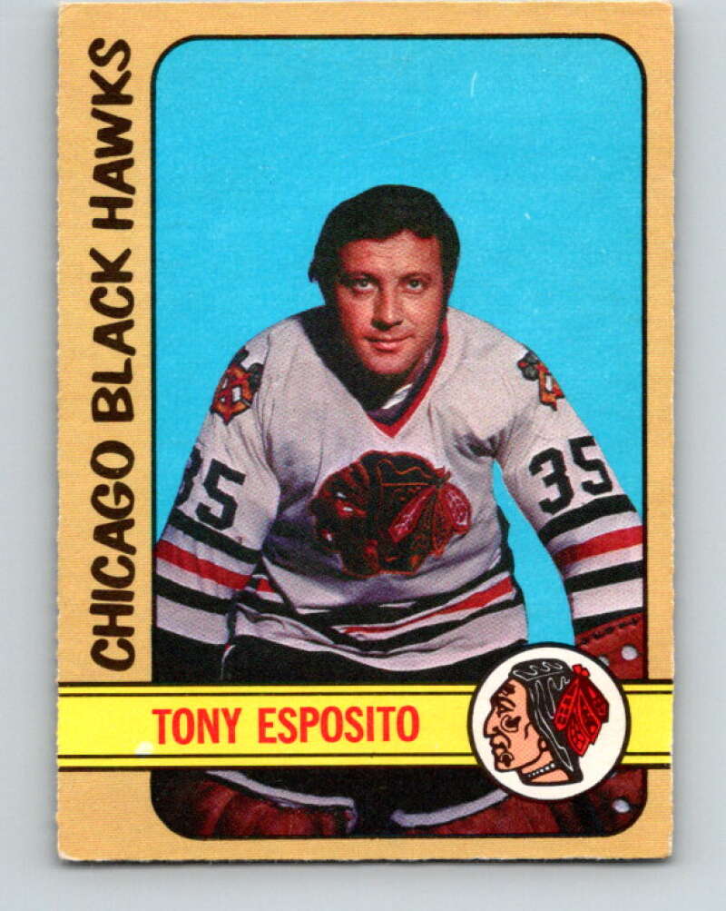 1972-73 O-Pee-Chee #137 Tony Esposito  Chicago Blackhawks  V3878