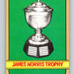 1972-73 O-Pee-Chee #142 Norris Trophyinners   V3894