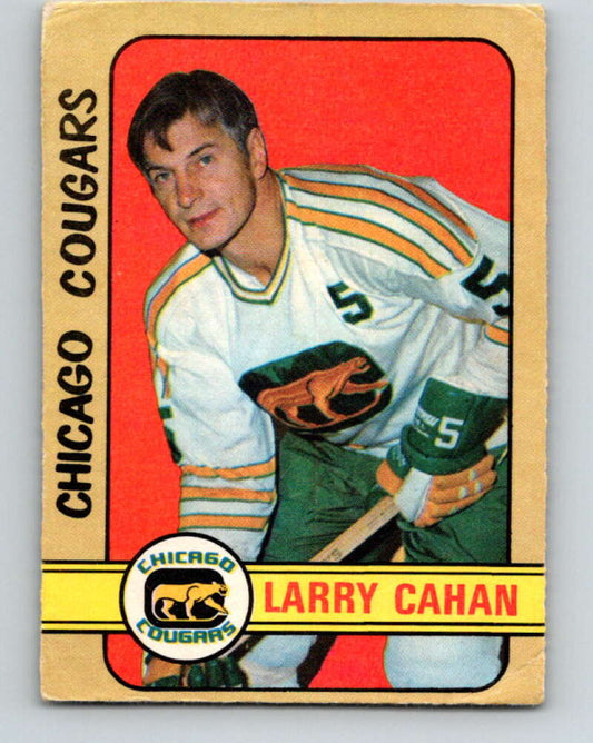 1972-73 O-Pee-Chee #307 Larry Cahan See Scans Chicago Cougars  V4203