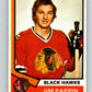 1974-75 O-Pee-Chee #113 Jim Pappin   V4478