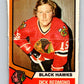1974-75 O-Pee-Chee #186 Dick Redmond  Chicago Blackhawks  V4659